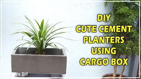DIY Cute Cement Planters Using Cargo Box | Easy Cement Pot Making Idea