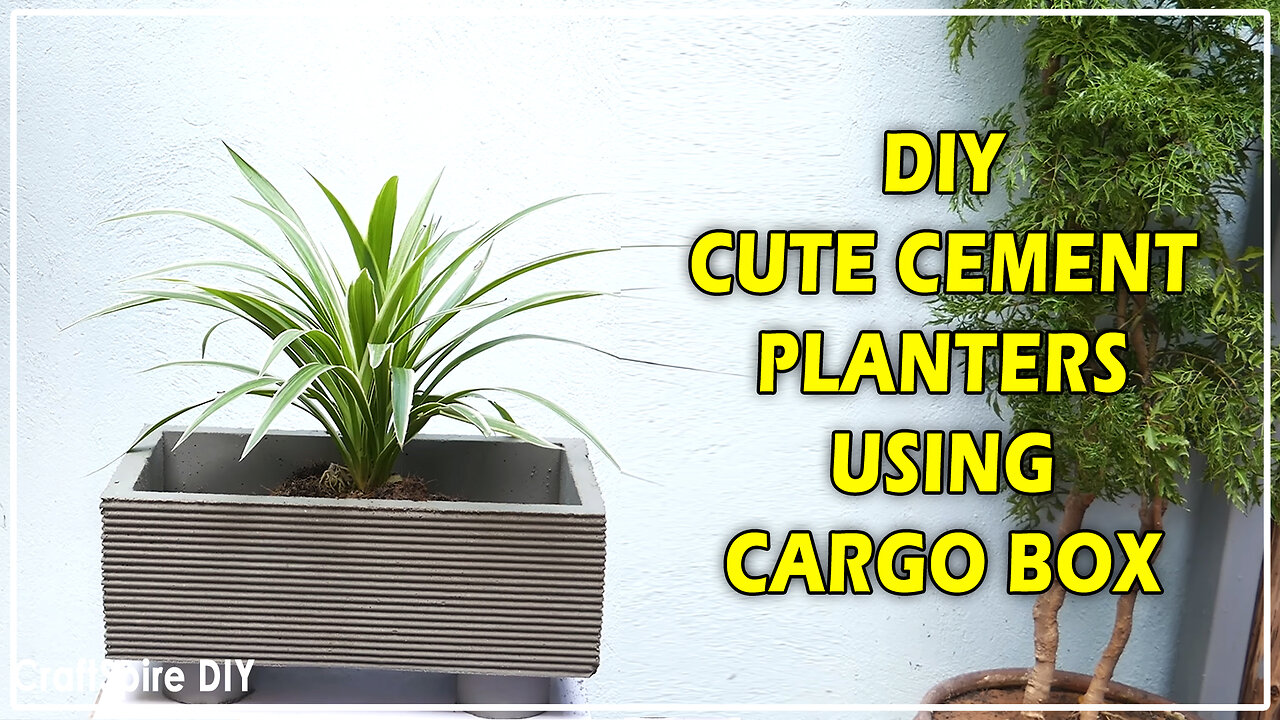 DIY Cute Cement Planters Using Cargo Box | Easy Cement Pot Making Idea