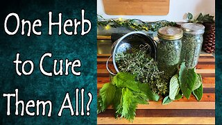 One Herb to Cure Them All