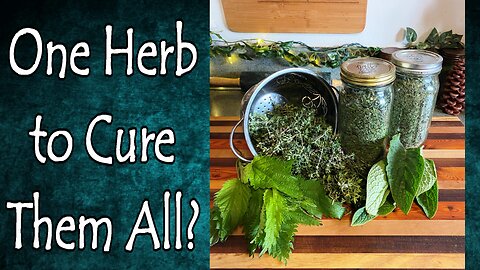 One Herb to Cure Them All