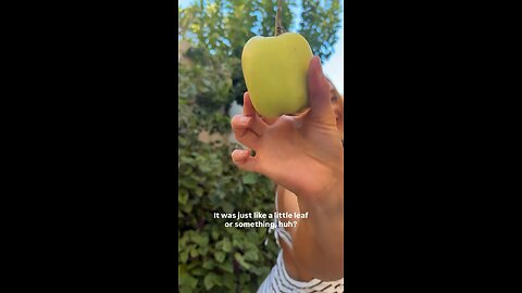 The struggle of being a garden girl who's also afraid of spiders