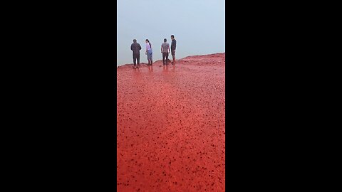 raining in red beach