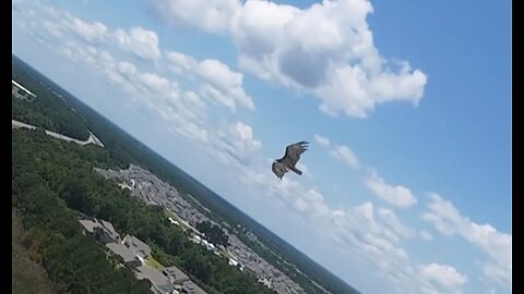 🦅 I Don't Know Why I Love You - Henry "Frogman" Clarence 🦅