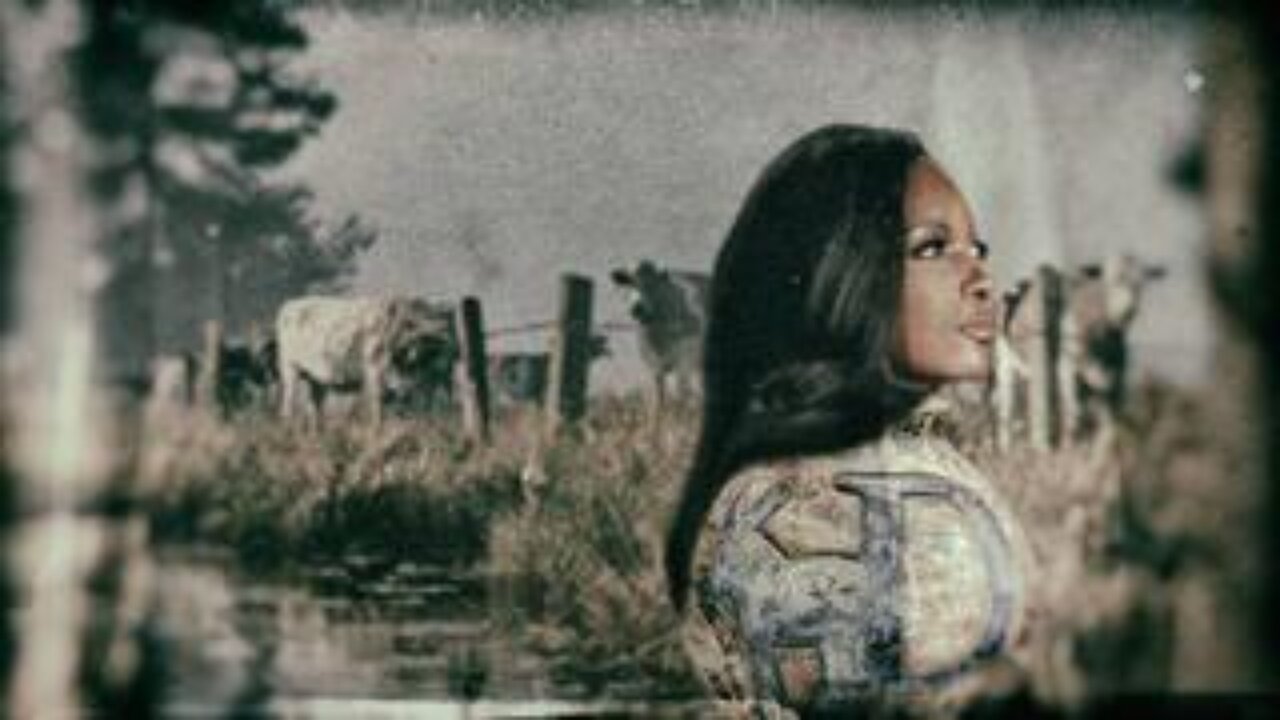 Jasmine Crockett's Crock Of Sh*t Campaign