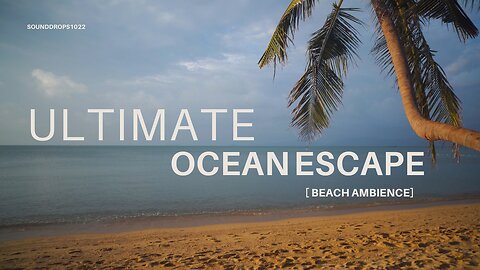 12 Hours of Beach Ambience – Ultimate Ocean Escape for Rest & Focus