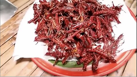 How Billions of Locusts Are Farmed, Harvested, and Eaten Every Year | Locust Processing In Factory