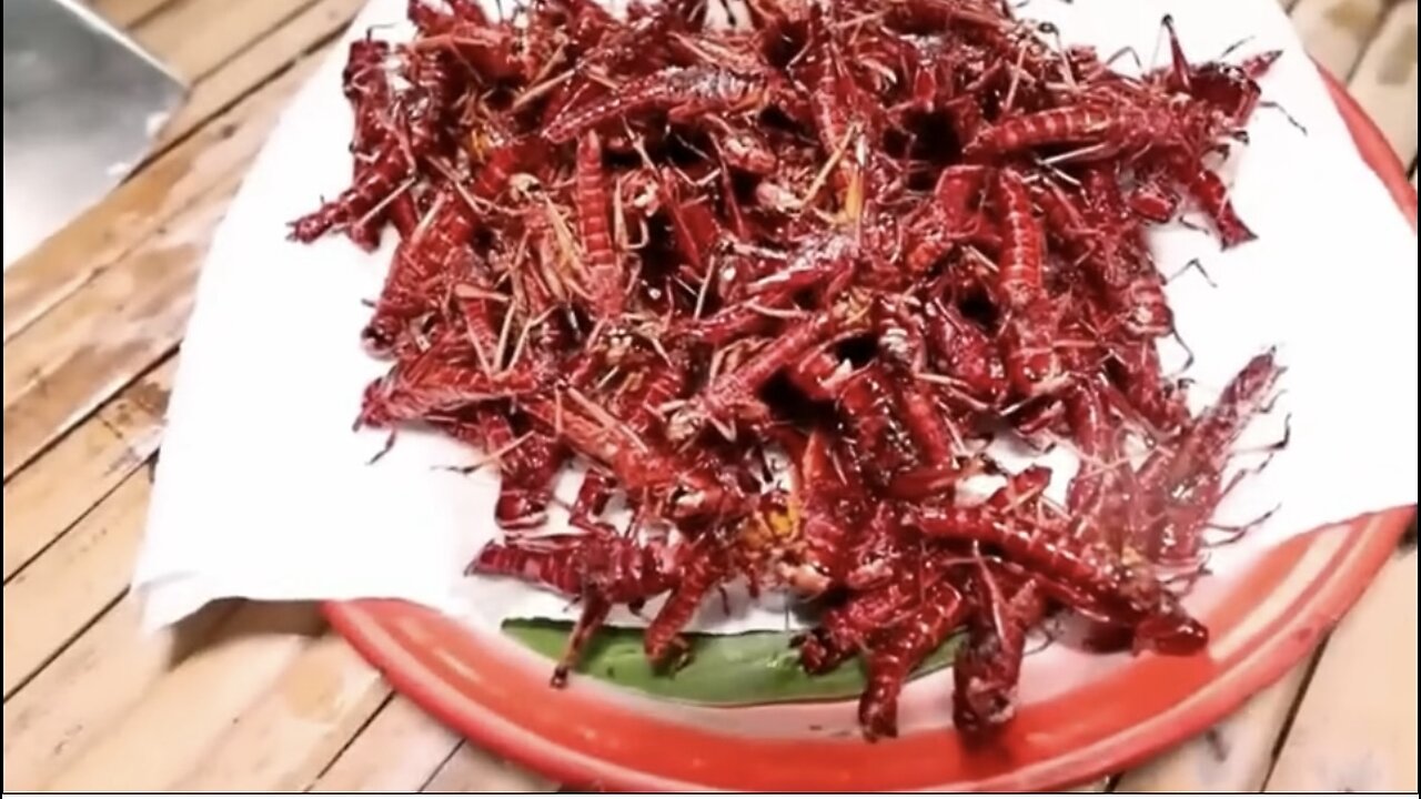 How Billions of Locusts Are Farmed, Harvested, and Eaten Every Year | Locust Processing In Factory