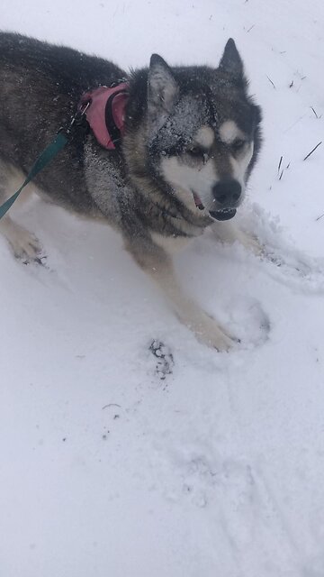 Sunday March 16, The Lord will appear above the people.