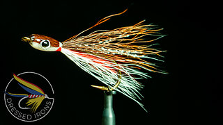Tying the Thunder Creek - Redfin Shiner - Dressed Irons