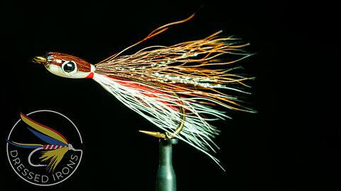 Tying the Thunder Creek - Redfin Shiner - Dressed Irons