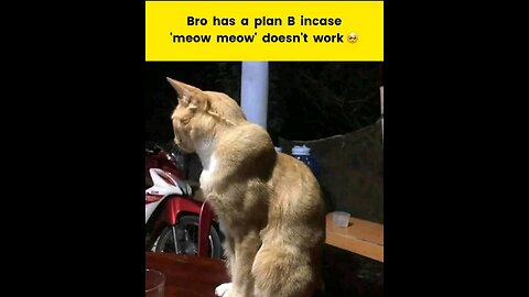 “When Life Gives You Funny Mood | Ultimate Meme Shorts” #FunnyMemes #MemeShorts #ViralVideo