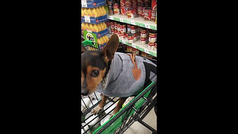 thanksgiving 🦃 shopping with batwings