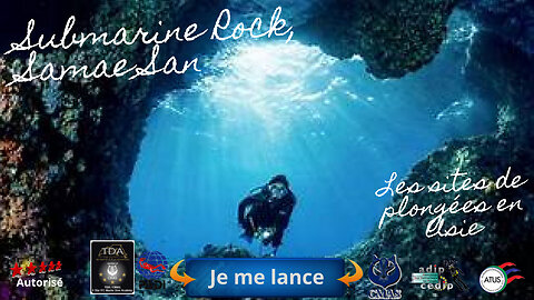 🌸 Plongée à Submarine Rock, Samae San, Un Relief Unique et une Vie Marine Abondante