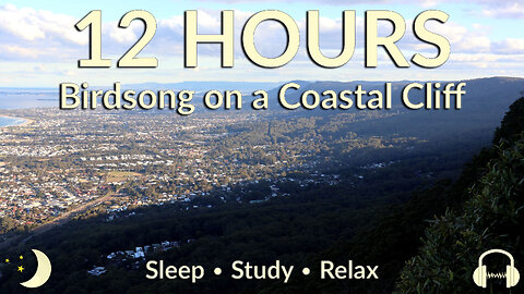 12 Hours of Australian Birdsong on a Coastal Cliff | Nature Sounds for Sleep, Study & Relaxation