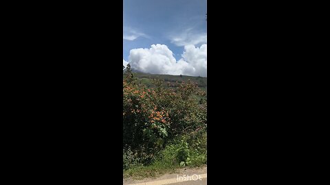 ROOFTOPS IN THE MIX #truth #jesus #mary #joseph #ihs #christ #church #bible #christian #saints #trin