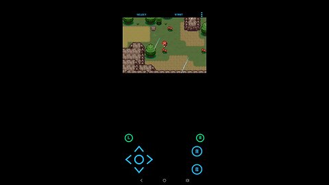 Pokémon Elysuim part 5 | Dealing with the free wing party