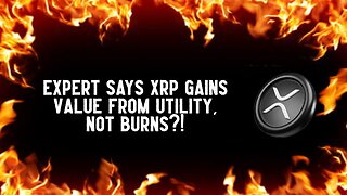 Expert Says XRP Gains Value From Utility, Not Burns?!