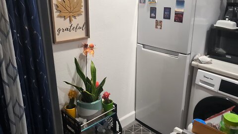 2025 Room Tour