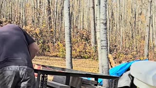 Found FREE Lumber at the Dump! (Is It Even Legal_) #livingoffgrid #homesteading