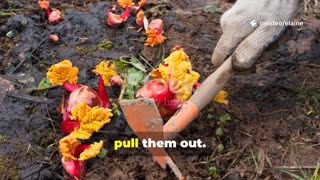 Release Resentment, Find Peace: The Power of Forgiveness