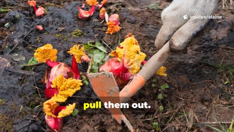 Release Resentment, Find Peace: The Power of Forgiveness