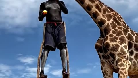 How to Feed a Giraffe