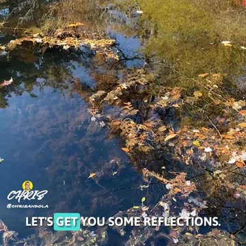 DOES THIS MEAN THE WATER IS DIRTY?