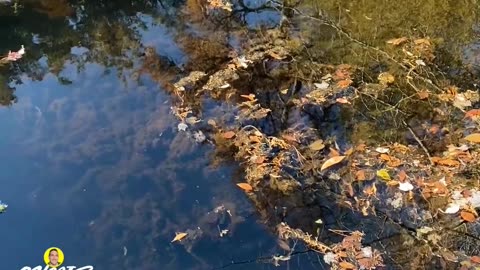 DOES THIS MEAN THE WATER IS DIRTY?