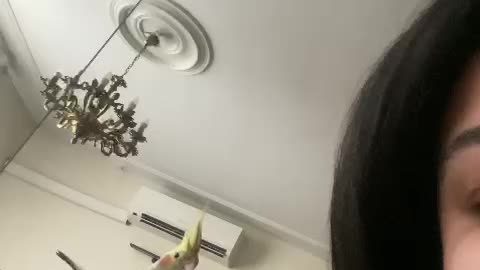 my head
