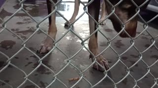 VID_20250829_140910166