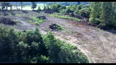 Brush and Land Clearing