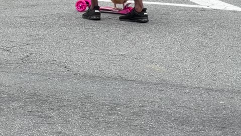Why Did the Chicken Cross the Road on a Pink Scooter?