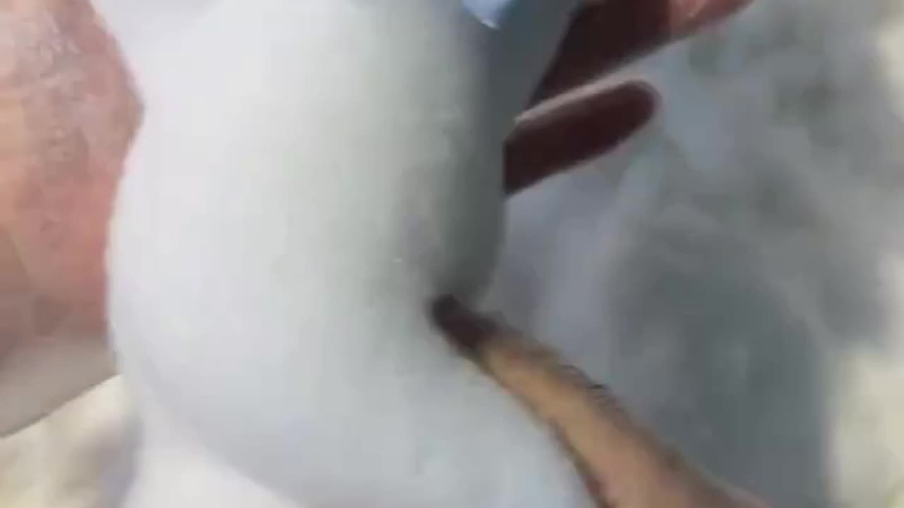Cat Squishy Toy