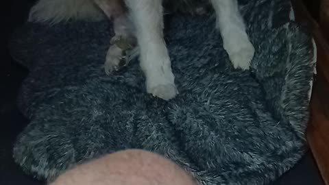 Zeke
