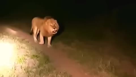 Revenge