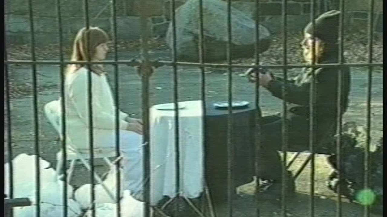 Milan Kohout, Mari Novotny-Jones , “Zoo”, 1995.