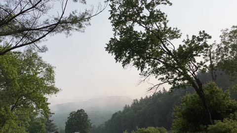 Smokey Misty Morning