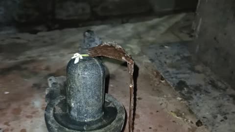 shiv puja