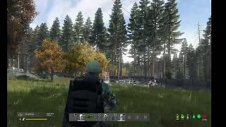 DayZ PVE