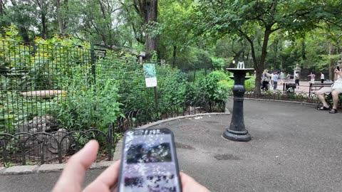 🗽 NYC Live 🔴 Walk (Chat on YouTube)