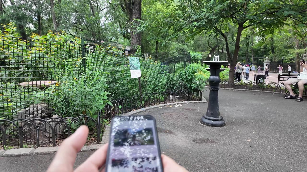 🗽 NYC Live 🔴 Walk (Chat on YouTube)