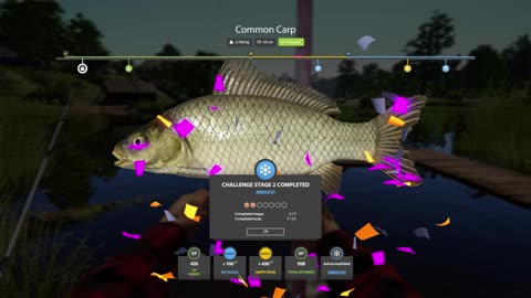 Mosquito Lake | Stage 2 Task 2 | 2 Species 1kg+ | Float Fishing Only | RF4