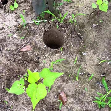 पैसा नहीं तो रिश्ता भी नहीं