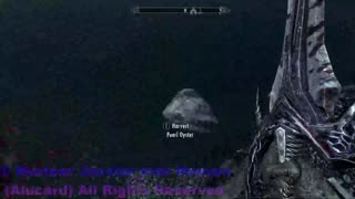 Skyrim Anniversary edition part