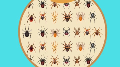 How Dangerous Is Australia Really?