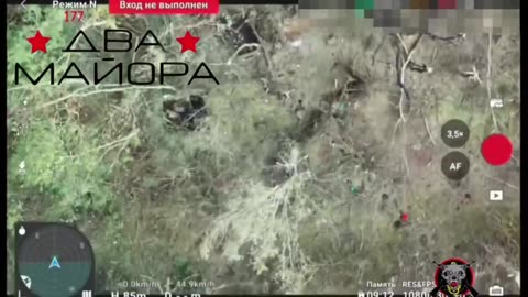 🚁⚡ Ukraine Russia War | Fiber-Optic Drone Strikes AFU Trucks & Positions Near Pisarevka | RCF