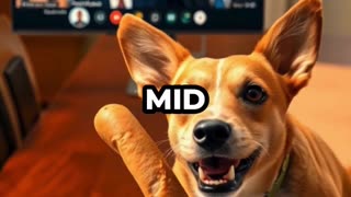 Engaging & Inspiring/Funny Video 9/2/2025