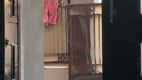 😂🤔 For No Reason! | FunFM