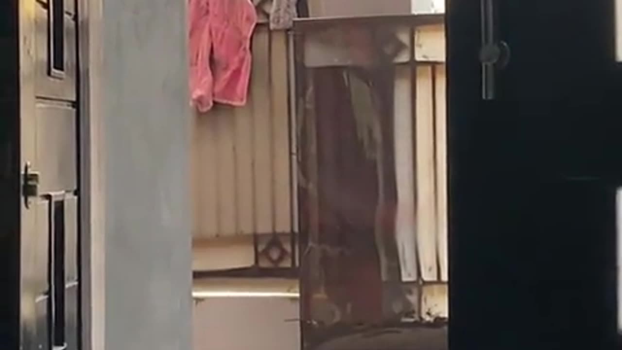 😂🤔 For No Reason! | FunFM
