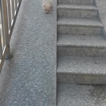 Conserving your energy 😊